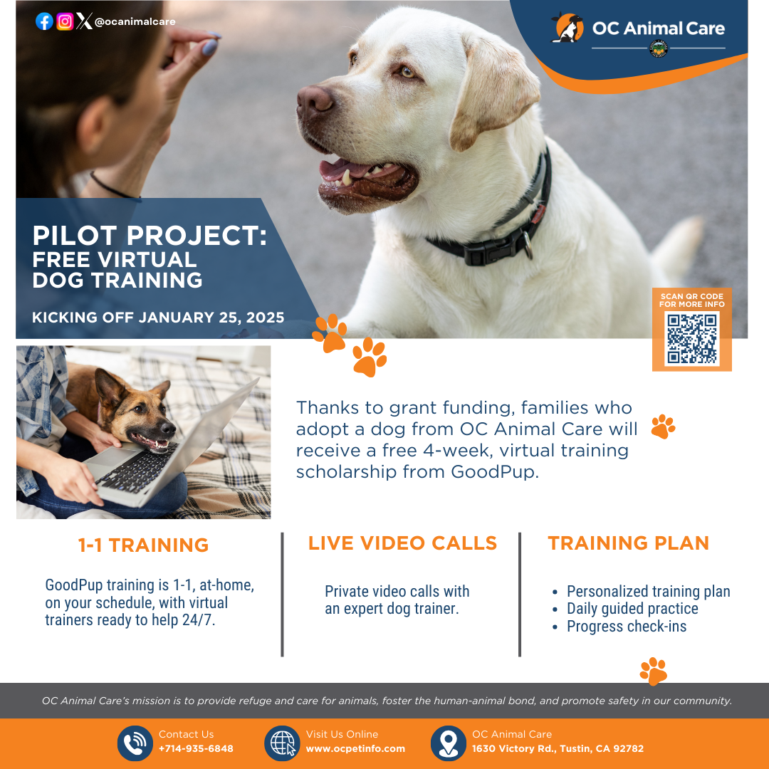 Free Virtual Dog Training OC Animal Care